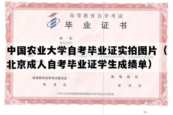 中国农业大学自考毕业证实拍图片（北京成人自考毕业证学生成绩单）