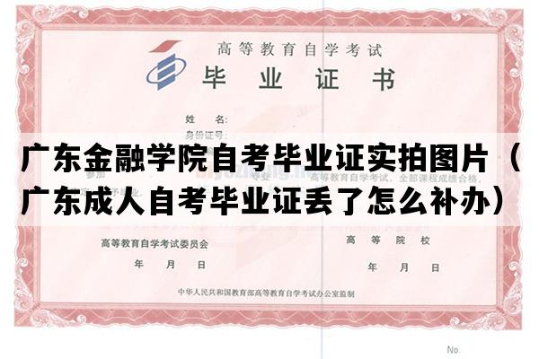 广东金融学院自考毕业证实拍图片（广东成人自考毕业证丢了怎么补办）