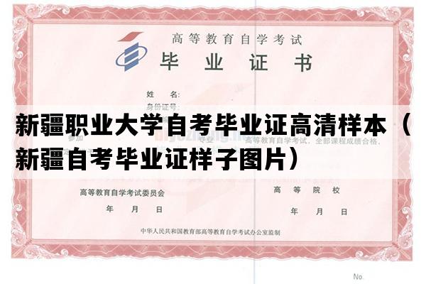 新疆职业大学自考毕业证高清样本（新疆自考毕业证样子图片）