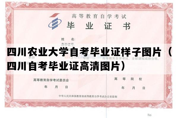 四川农业大学自考毕业证样子图片（四川自考毕业证高清图片）