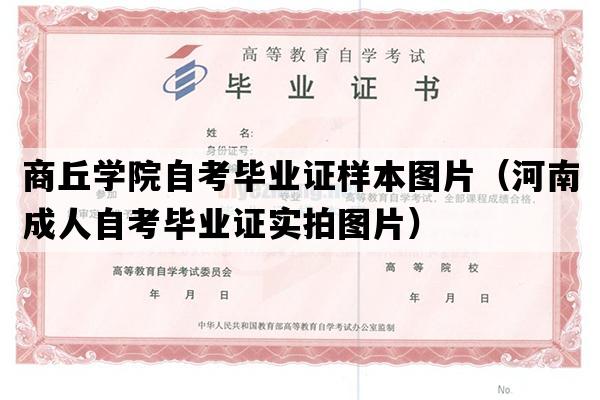 商丘学院自考毕业证样本图片（河南成人自考毕业证实拍图片）