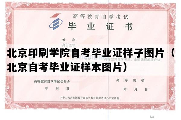 北京印刷学院自考毕业证样子图片（北京自考毕业证样本图片）