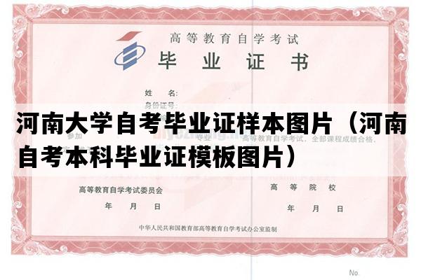 河南大学自考毕业证样本图片（河南自考本科毕业证模板图片）