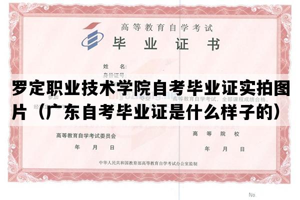 罗定职业技术学院自考毕业证实拍图片（广东自考毕业证是什么样子的）