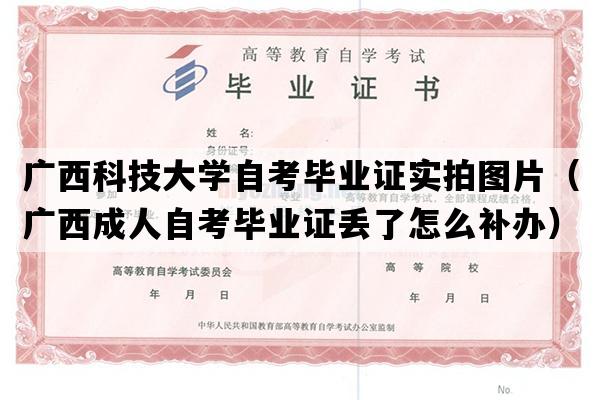 广西科技大学自考毕业证实拍图片（广西成人自考毕业证丢了怎么补办）