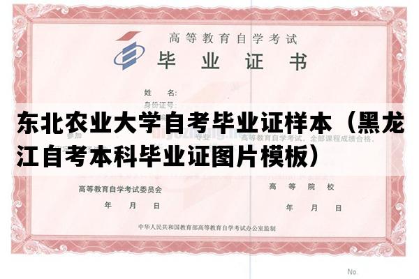 东北农业大学自考毕业证样本（黑龙江自考本科毕业证图片模板）