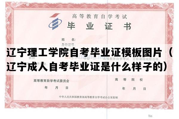 辽宁理工学院自考毕业证模板图片（辽宁成人自考毕业证是什么样子的）