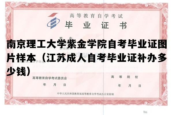 南京理工大学紫金学院自考毕业证图片样本（江苏成人自考毕业证补办多少钱）