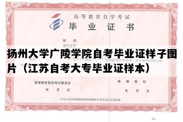 扬州大学广陵学院自考毕业证样子图片（江苏自考大专毕业证样本）