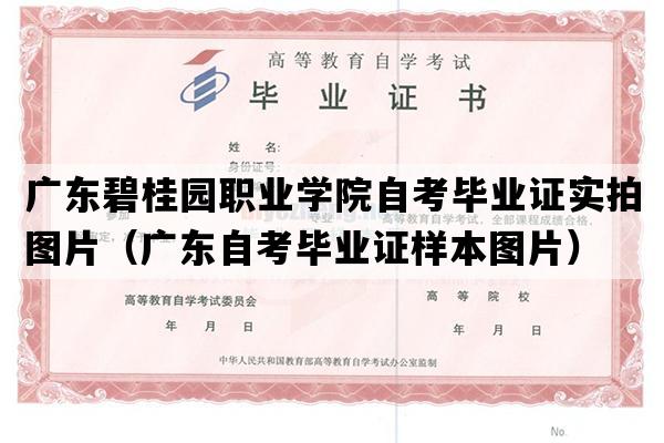 广东碧桂园职业学院自考毕业证实拍图片（广东自考毕业证样本图片）