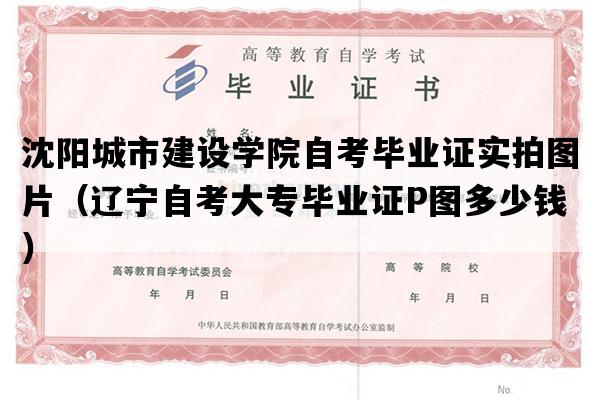 沈阳城市建设学院自考毕业证实拍图片（辽宁自考大专毕业证P图多少钱）