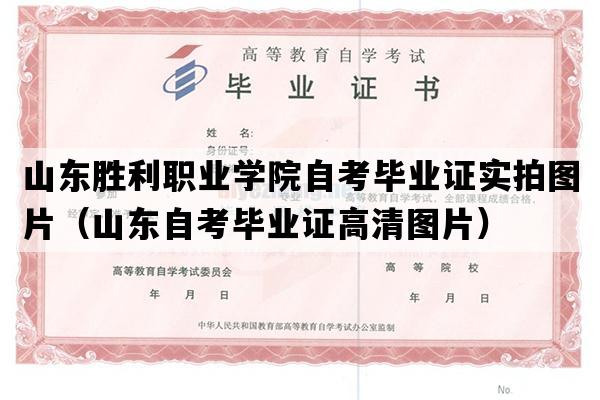 山东胜利职业学院自考毕业证实拍图片（山东自考毕业证高清图片）