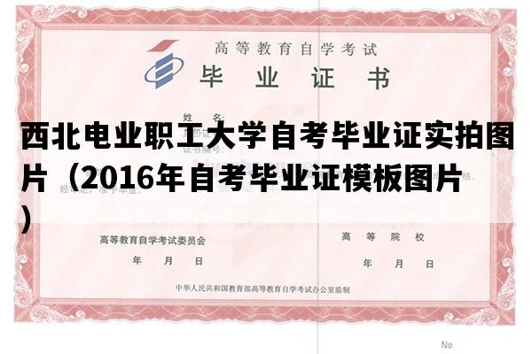 西北电业职工大学自考毕业证实拍图片（2016年自考毕业证模板图片）