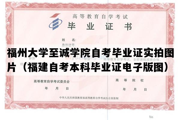 福州大学至诚学院自考毕业证实拍图片（福建自考本科毕业证电子版图）