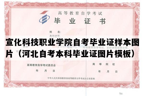 宣化科技职业学院自考毕业证样本图片（河北自考本科毕业证图片模板）