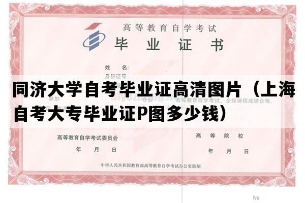 同济大学自考毕业证高清图片（上海自考大专毕业证P图多少钱）