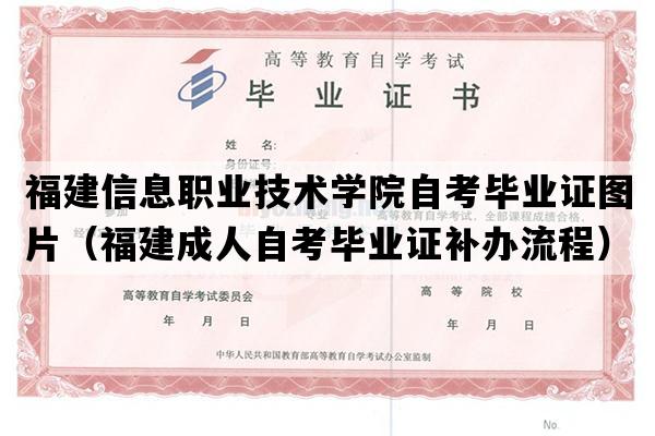 福建信息职业技术学院自考毕业证图片（福建成人自考毕业证补办流程）