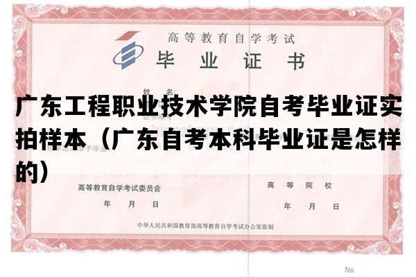 广东工程职业技术学院自考毕业证实拍样本（广东自考本科毕业证是怎样的）