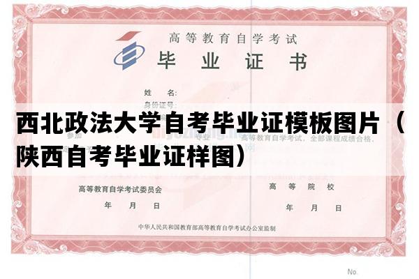 西北政法大学自考毕业证模板图片（陕西自考毕业证样图）