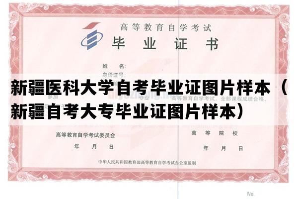 新疆医科大学自考毕业证图片样本（新疆自考大专毕业证图片样本）