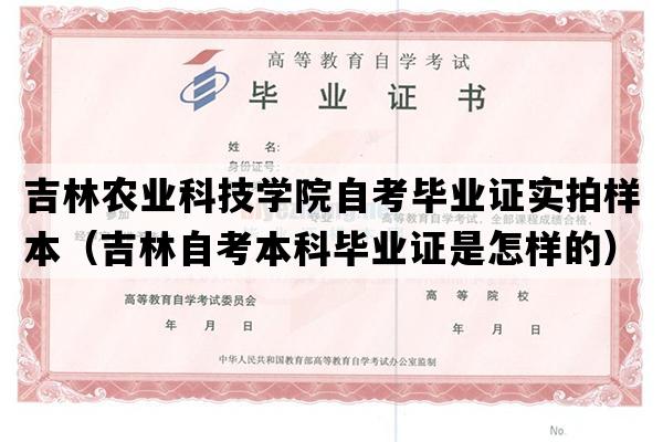 吉林农业科技学院自考毕业证实拍样本（吉林自考本科毕业证是怎样的）