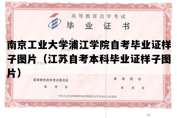 南京工业大学浦江学院自考毕业证样子图片（江苏自考本科毕业证样子图片）