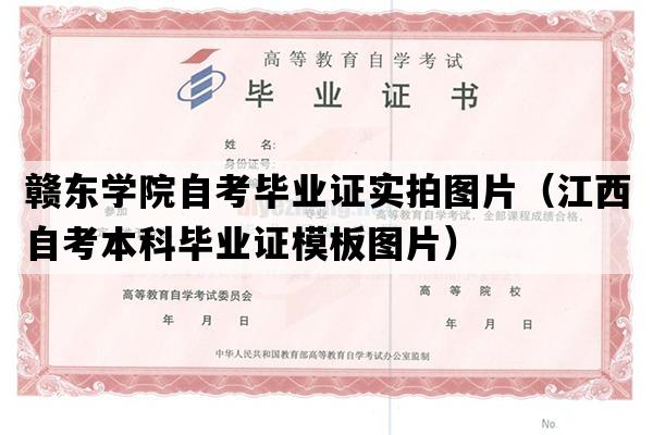 赣东学院自考毕业证实拍图片（江西自考本科毕业证模板图片）