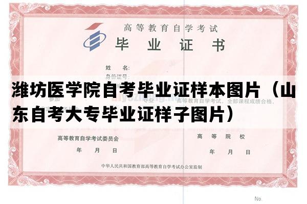 潍坊医学院自考毕业证样本图片（山东自考大专毕业证样子图片）