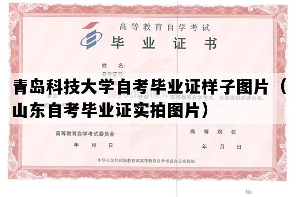 青岛科技大学自考毕业证样子图片（山东自考毕业证实拍图片）