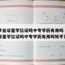 中专毕业证是学位证吗中专学历有用吗（中专毕业证是学位证吗中专学历有用吗知乎）