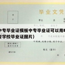 职业中专毕业证模板中专毕业证可以用吗（职业中专学校毕业证图片）