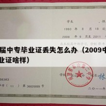 09届中专毕业证丢失怎么办（2009中专毕业证啥样）