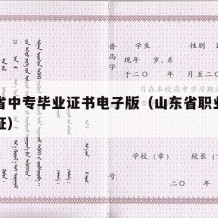 山东省中专毕业证书电子版（山东省职业中专毕业证）