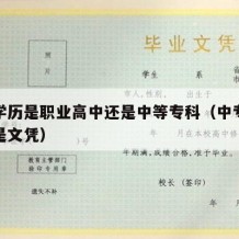 中专学历是职业高中还是中等专科（中专是学历还是文凭）