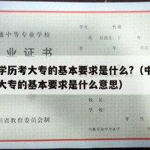 中专学历考大专的基本要求是什么?（中专学历考大专的基本要求是什么意思）