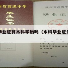 本科毕业证算本科学历吗（本科毕业证是什么意思）