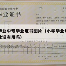 小学毕业中专毕业证书图片（小学毕业证和初中毕业证有用吗）