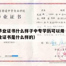 中专毕业证书什么样子中专学历可以用（中专的毕业证书是什么样的）