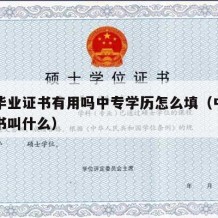 中专毕业证书有用吗中专学历怎么填（中专毕业证书叫什么）