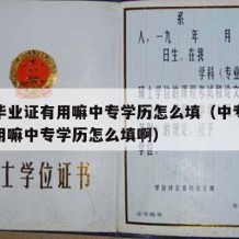 中专毕业证有用嘛中专学历怎么填（中专毕业证有用嘛中专学历怎么填啊）