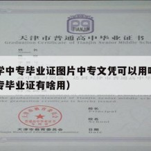 中医学中专毕业证图片中专文凭可以用吗（中医中专毕业证有啥用）