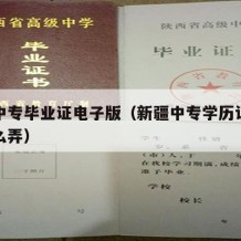 新疆中专毕业证电子版（新疆中专学历认证报告怎么弄）