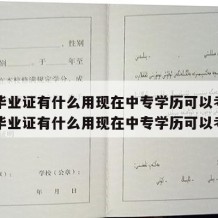 中专毕业证有什么用现在中专学历可以考吗（中专毕业证有什么用现在中专学历可以考吗）