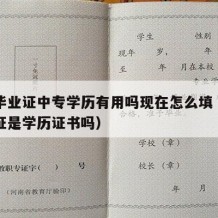 中专毕业证中专学历有用吗现在怎么填（中专毕业证是学历证书吗）