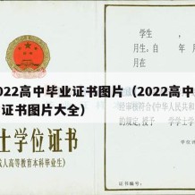 2022高中毕业证书图片（2022高中毕业证书图片大全）