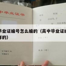 高中毕业证编号怎么编的（高中毕业证编号是什么样的）