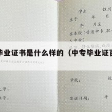 中专毕业证书是什么样的（中专毕业证百度百科）