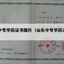 山东中专学历证书图片（山东中专学历证书查询网）