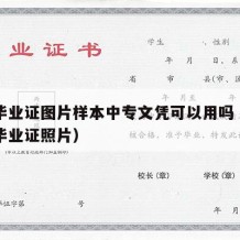 中专毕业证图片样本中专文凭可以用吗（中专学历毕业证照片）