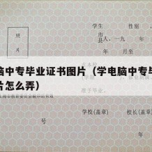 学电脑中专毕业证书图片（学电脑中专毕业证书图片怎么弄）